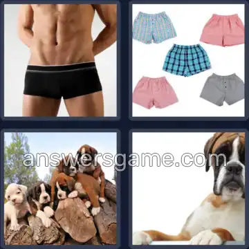 4 Images 1 Mot 5 lettres BOXER