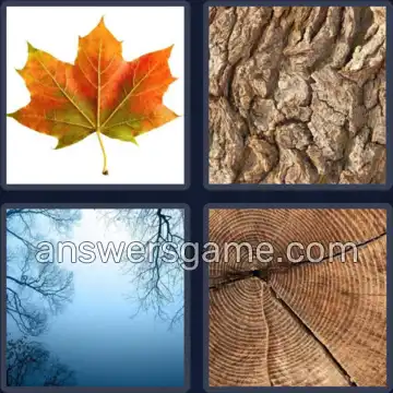4 Images 1 Mot 5 lettres ARBRE