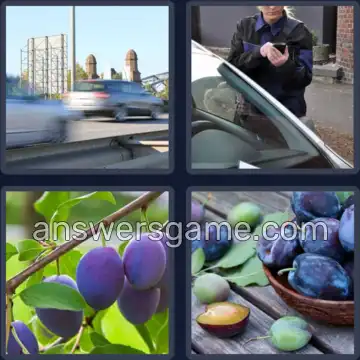 4 Images 1 Mot 5 lettres PRUNE
