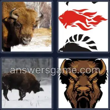 4 Images 1 Mot 5 lettres BISON