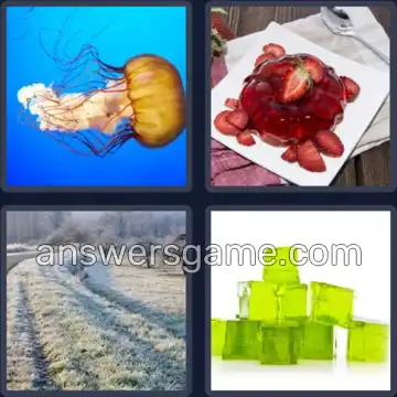 4 Images 1 Mot 5 lettres GELEE