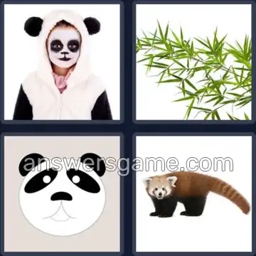 4 Images 1 Mot 5 lettres PANDA