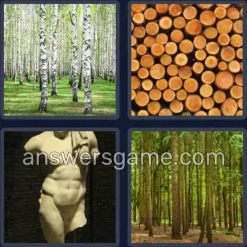 4 Images 1 Mot 5 lettres TRONC