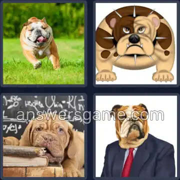 4 Images 1 Mot 5 lettres DOGUE