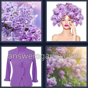 4 Images 1 Mot 5 lettres LILAS