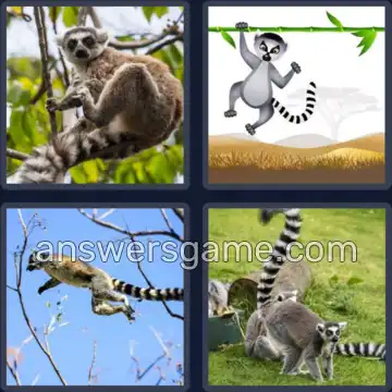 4 Images 1 Mot 5 lettres LEMUR