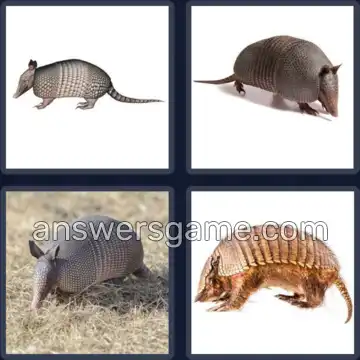 4 Images 1 Mot 5 lettres TATOU