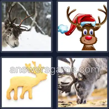 4 Images 1 Mot 5 lettres RENNE