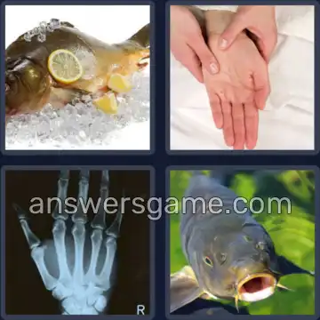 4 Images 1 Mot 5 lettres CARPE