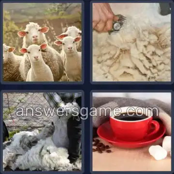 4 Images 1 Mot 5 lettres LAINE