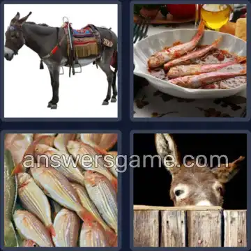 4 Images 1 Mot 5 lettres MULET