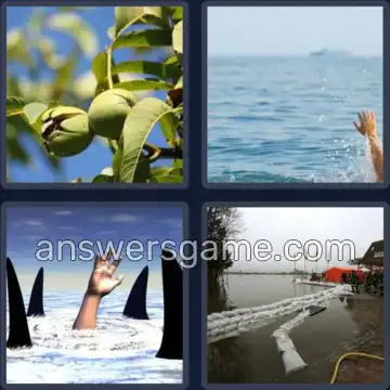 4 Images 1 Mot 5 lettres NOYER