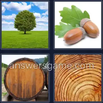 4 Images 1 Mot 5 lettres CHENE