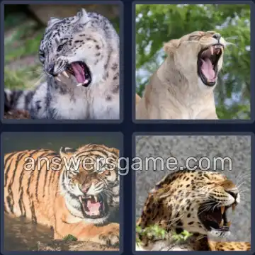 4 Images 1 Mot 5 lettres RUGIR