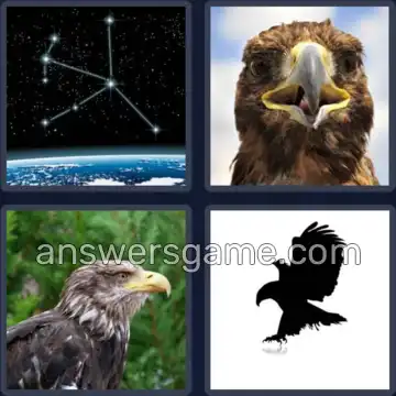 4 Images 1 Mot 5 lettres AIGLE