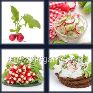 4 Images 1 Mot 5 lettres RADIS