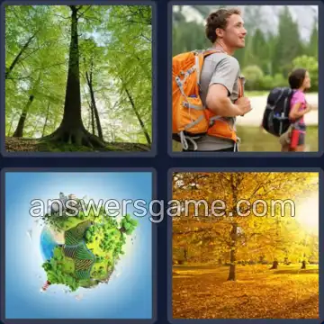 4 Images 1 Mot 5 lettres FORET