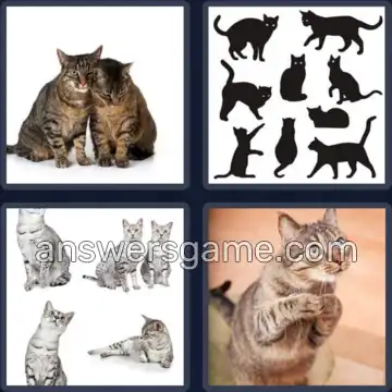 4 Images 1 Mot 5 lettres CHATS