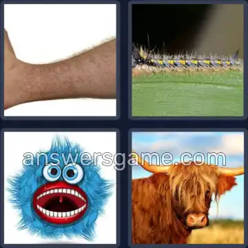 4 Images 1 Mot 5 lettres POILU