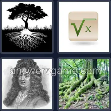 4 Images 1 Mot 6 lettres RACINE