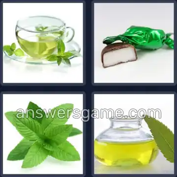 4 Images 1 Mot 6 lettres MENTHE