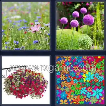 4 Images 1 Mot 6 lettres FLEURI
