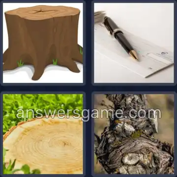 4 Images 1 Mot 6 lettres SOUCHE