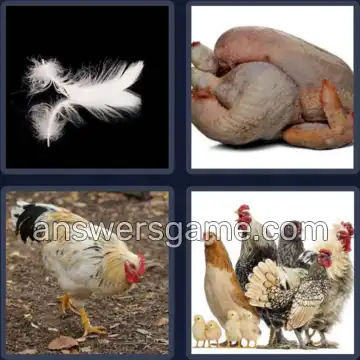 4 Images 1 Mot 6 lettres PLUMER