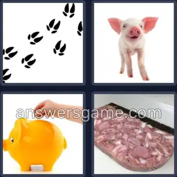 4 Images 1 Mot 6 lettres PORCIN