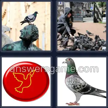 4 Images 1 Mot 6 lettres PIGEON