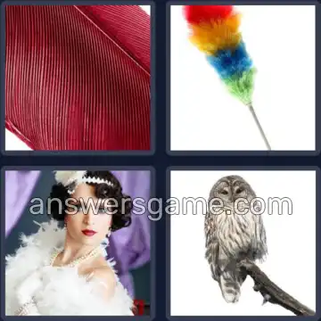 4 Images 1 Mot 6 lettres PLUMES