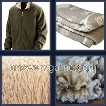 4 Images 1 Mot 6 lettres TOISON