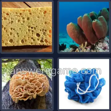 4 Images 1 Mot 6 lettres EPONGE