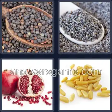 4 Images 1 Mot 6 lettres GRAINE