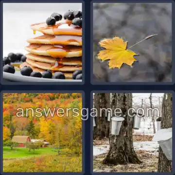 4 Images 1 Mot 6 lettres ERABLE