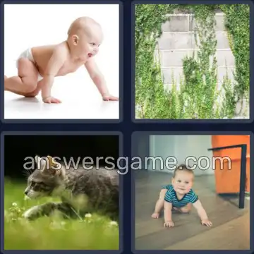 4 Images 1 Mot 6 lettres RAMPER