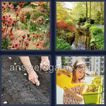 4 Images 1 Mot 6 lettres PLANTE