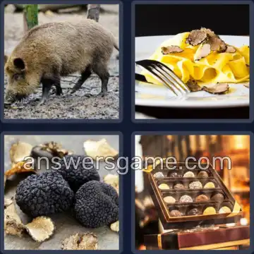 4 Images 1 Mot 6 lettres TRUFFE