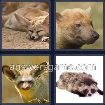 4 Images 1 Mot 6 lettres CANIDE