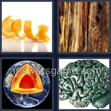 4 Images 1 Mot 6 lettres ECORCE