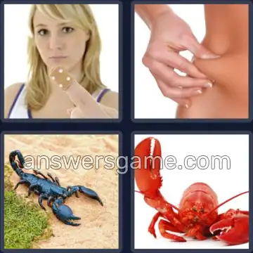 4 Images 1 Mot 6 lettres PINCER