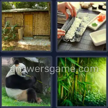 4 Images 1 Mot 6 lettres BAMBOU