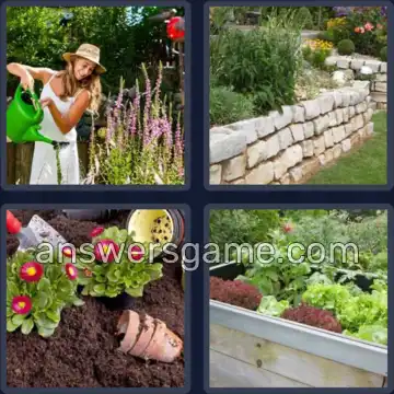 4 Images 1 Mot 6 lettres JARDIN