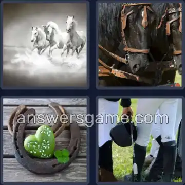 4 Images 1 Mot 6 lettres CHEVAL
