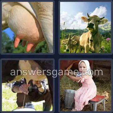 4 Images 1 Mot 6 lettres TRAIRE