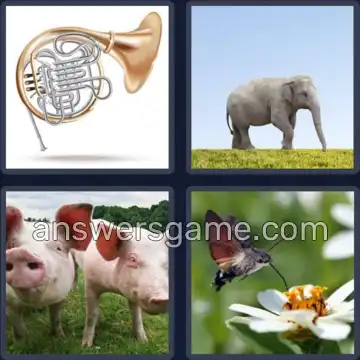 4 Images 1 Mot 6 lettres TROMPE