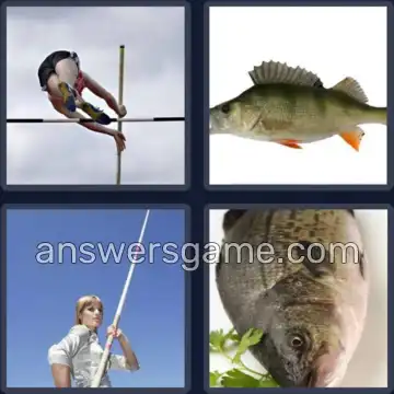 4 Images 1 Mot 6 lettres PERCHE