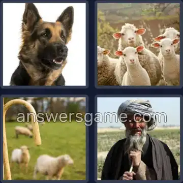 4 Images 1 Mot 6 lettres BERGER