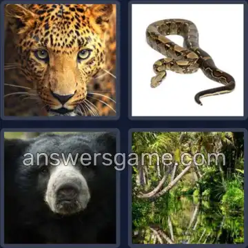 4 Images 1 Mot 6 lettres JUNGLE