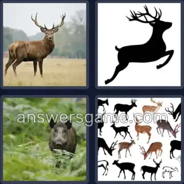 4 Images 1 Mot 6 lettres GIBIER